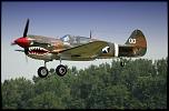 Curtiss_P-40_Warhawk_airshow.jpg