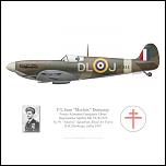 spitfire-mk-vb-fl-jean-demozay-no-91-nigeria-squadron-royal-air-force-1941.jpg