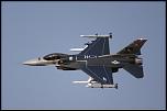 freewing-f-16-90mm-jet-pnp-postcombustion-power-edition (1).jpg